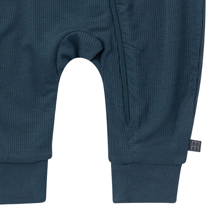 2-Pack Baby Boys Blue Long Sleeve Footless Romper Rompers Gerber®