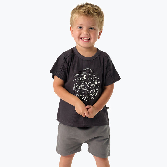 2-Pack Infant & Toddler Boys Dark Blue & Grey Harem Shorts Bundle Gerber Childrenswear