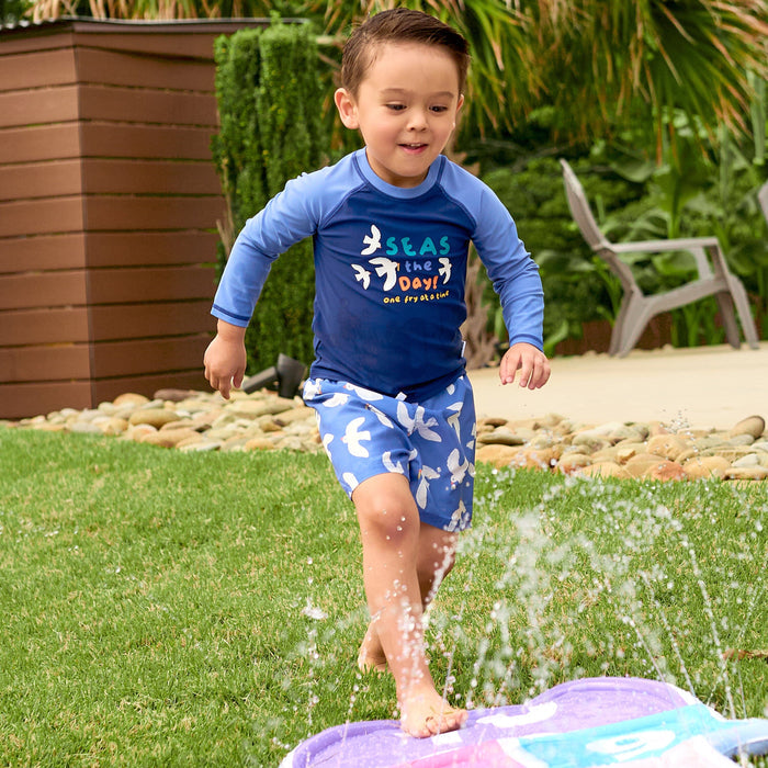 2-Piece Baby & Toddler Boys UPF 50+ Seagulls Rash Guard & Swim Trunks Set swimwear Gerber®