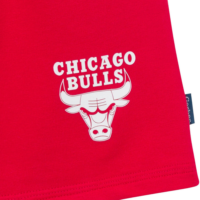 2-Piece Infant & Toddler Boys Chicago Bulls T-Shirt & Shorts Set Outfits & Sets Gerber®