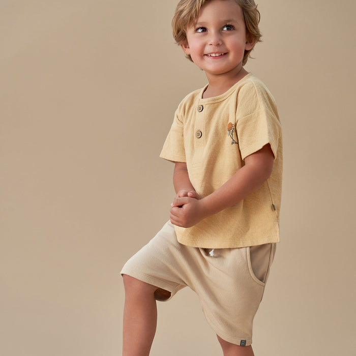 2-Pack Infant & Toddler Boys Henley Top & Shorts Bundle outfits Gerber Childrenswear
