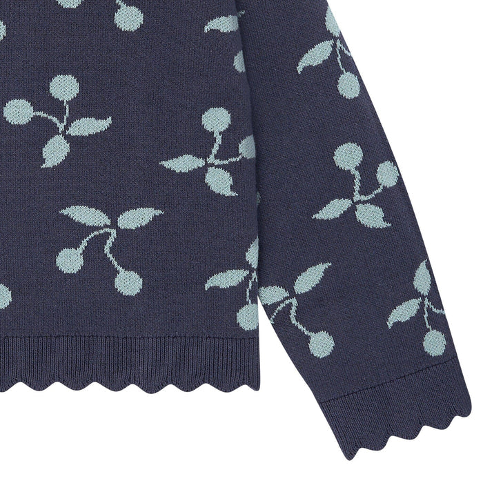 2-Piece Baby Girls Blue Fruit Jacquard Seater Knit Top and Pant Set Outfits & Sets Gerber®