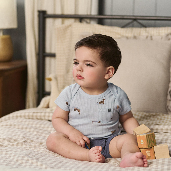 4-Piece Baby Boys Dachshund Surf Short Sleeve Bodysuits and Shorts Set outfits modern moments™ by Gerber®