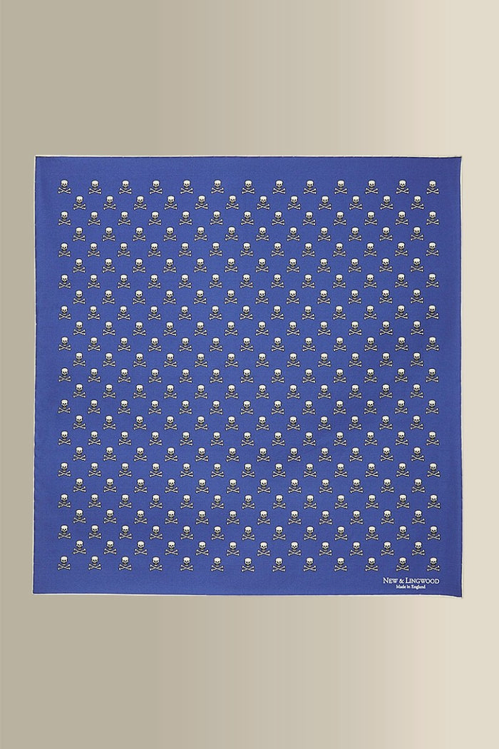 Blue Skull & Crossbones Silk Pocket Square