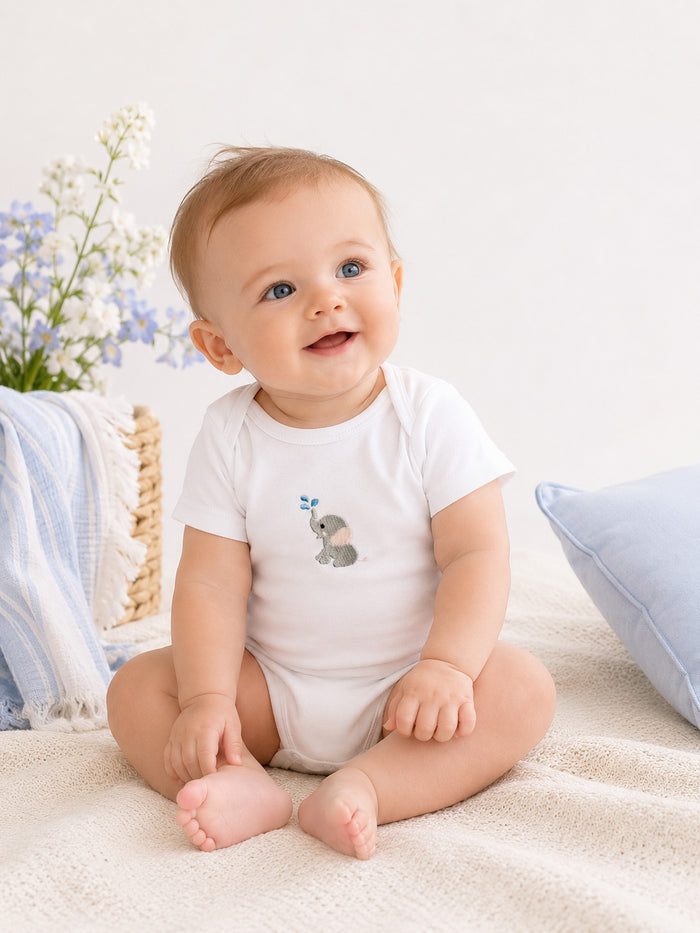 Boys’ Onesie Bundle | 3-Pack Short Sleeve
