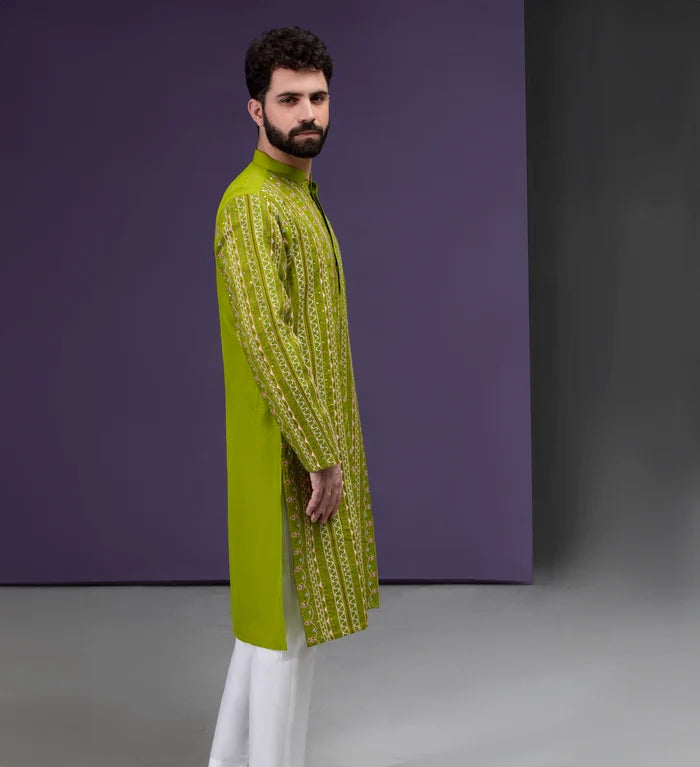Dhanak - Parrot Green & Gold