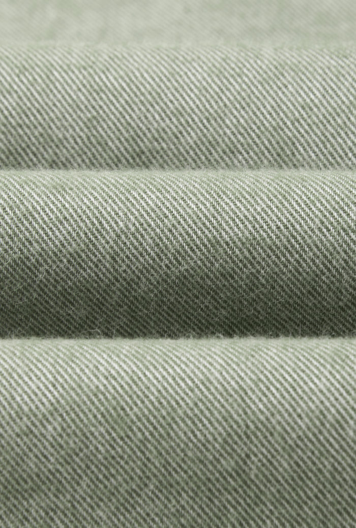Green Cutaway Collar Standard Fit Flannel Shirt
