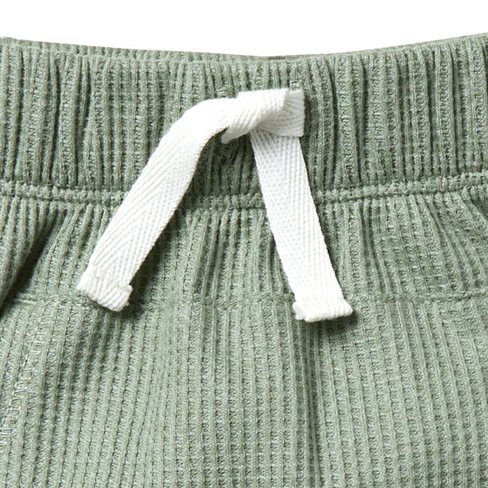 Infant & Toddler Boys Medium Green Harem Shorts Pants & Bottoms Modern Moments™ by Gerber®