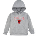 Infant & Toddler Neutral Gray Chicago Bulls Hoodie NBA NBA®