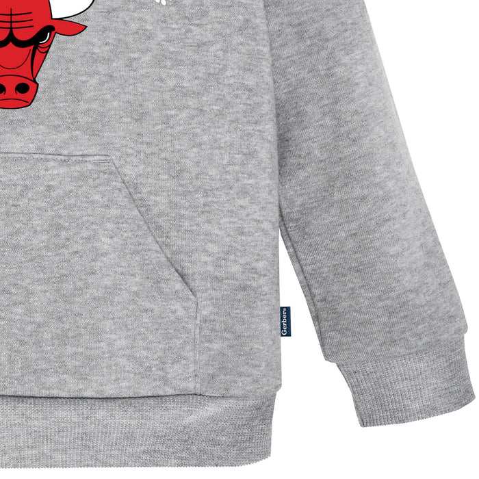 Infant & Toddler Neutral Gray Chicago Bulls Hoodie NBA NBA®