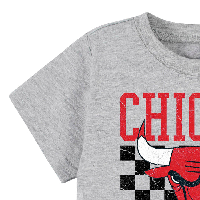 Infant & Toddler Neutral Gray Chicago Bulls T-Shirt NBA NBA®