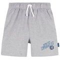 Infant & Toddler Neutral Gray Minnesota Timberwolves Shorts NBA NBA®