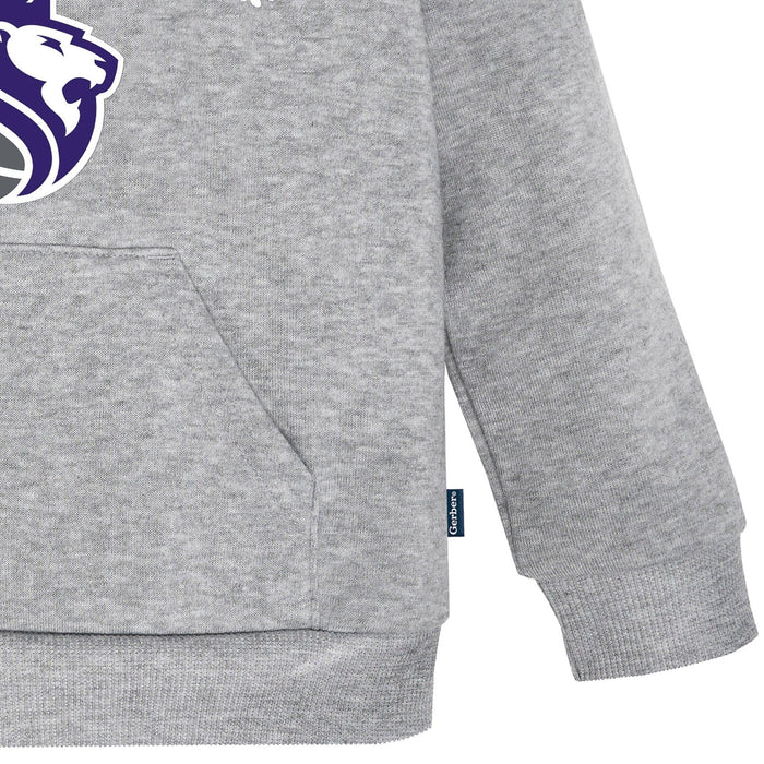 Infant & Toddler Neutral Gray Sacramento Kings Hoodie NBA NBA®