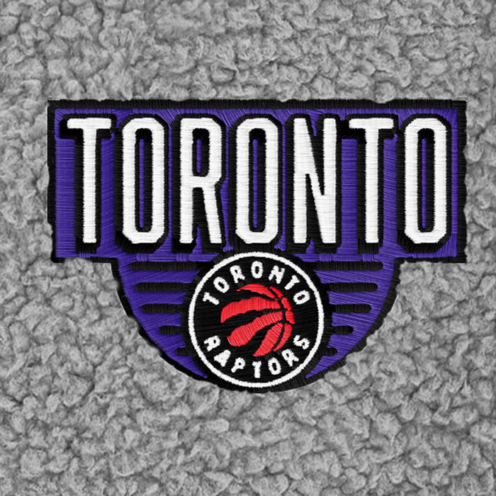 Infant & Toddler Neutral Gray Toronto Raptors Quarter-Zip Pullover NBA NBA®