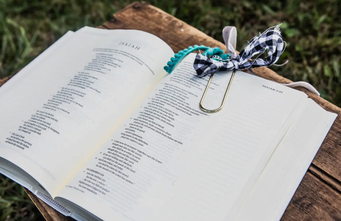 Manna from Heaven ESV Journaling Bible