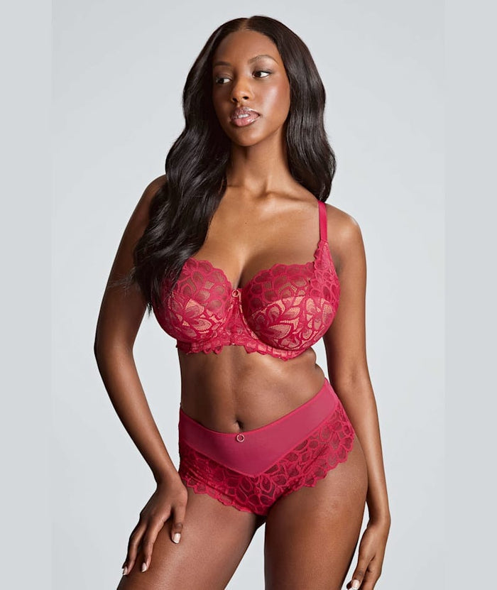 Panache Allure Deep Brief - Raspberry Knickers