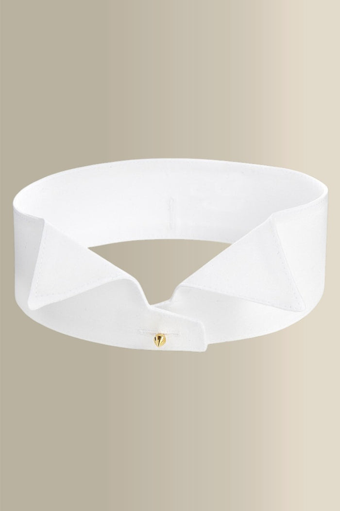Regular Wing Stiff Collar