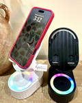 Speaker