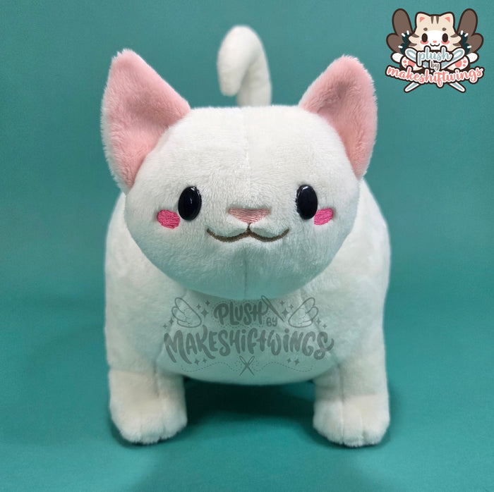 White fat cat in a sweater