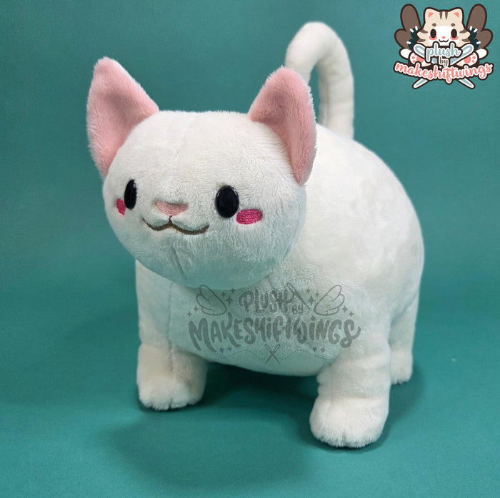 White fat cat in a sweater